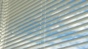 blind
