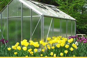 How to build a Greenhouse