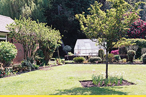 How to improve your garden this winter