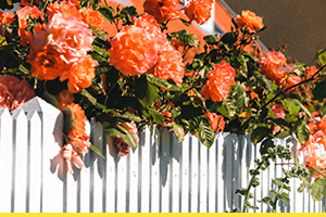 How to put up a garden wooden fence