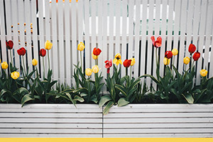 How The Handy Squad Can Help Get Your Garden Looking Its Best This Spring