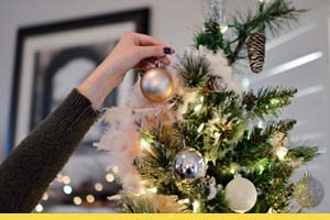 Help to set up your Christmas tree and decorations at home or in the office