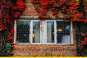 How to prepare your home for autumn
